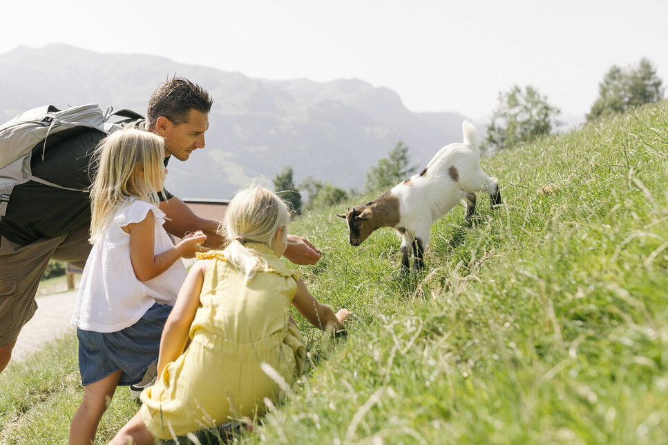 Wildpark Aurach – Tiere hautnah erleben