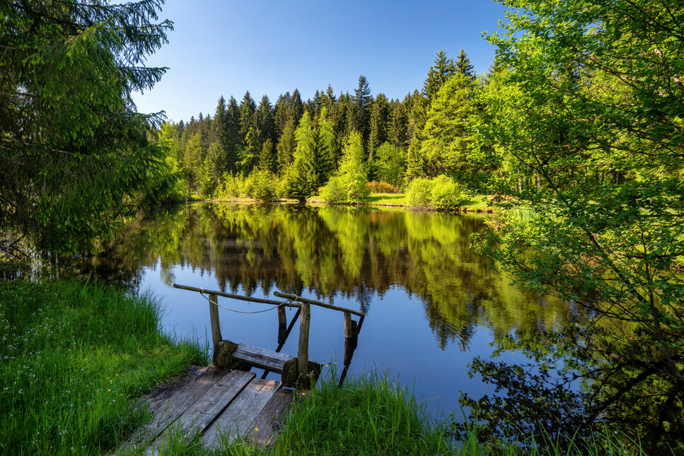 Landschaft Wasser Gieringer Weiher 