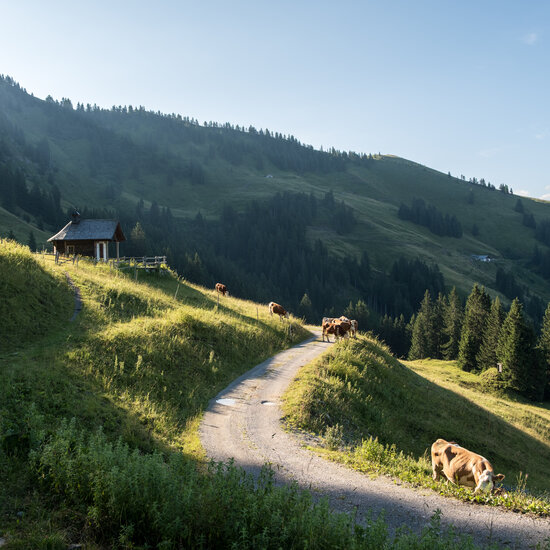 LH Südberge LocalHeroes Südberge in Kitzbühel