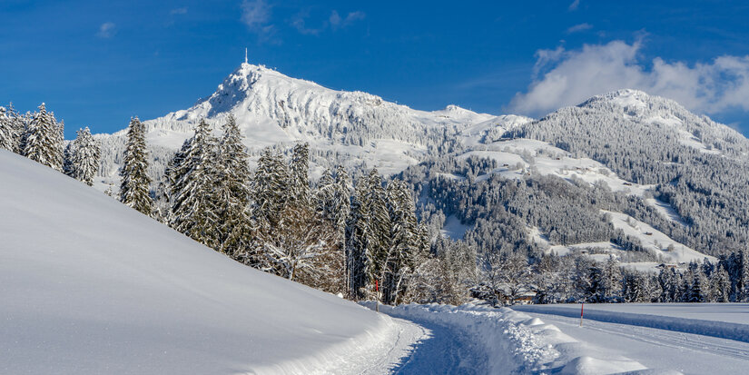 Präparierter Winterwanderweg in Kitzbühel mit Blick auf das Kitzbüheler Horn unter blauem Himmel.
