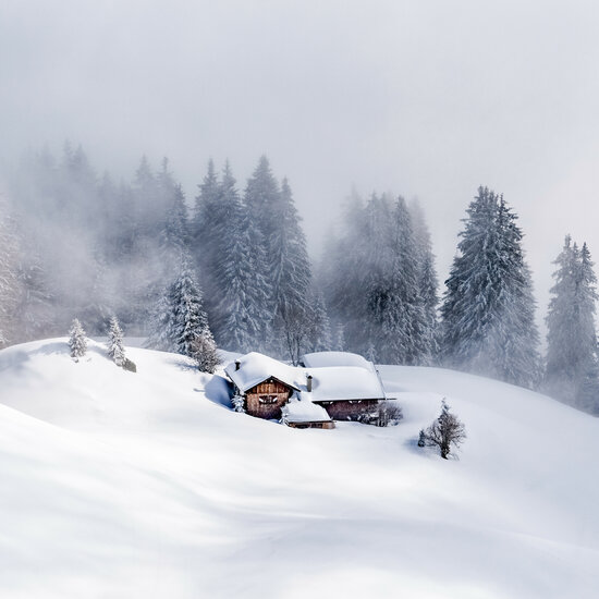 Freeriden: Pures Powdervergnügen in Kitzbühel erleben