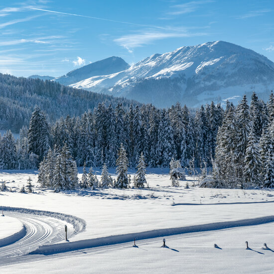 Langlaufen in Kitzbühel auf mehr als 70 km bestens präparierten Loipen