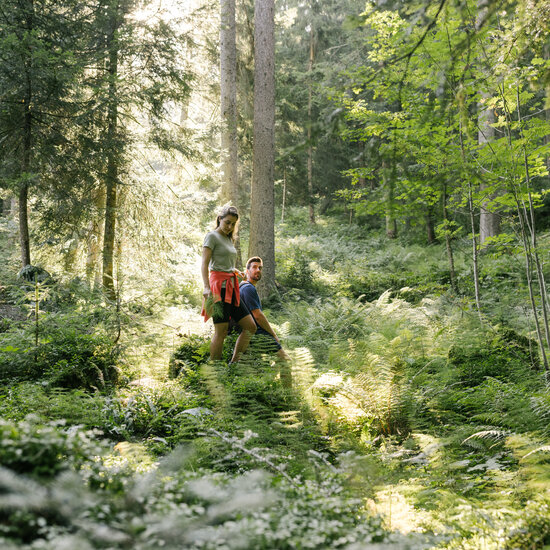 Morgens zur Seidalm Wandern Sommer 2023 (c) Kitzbühel Tourismus (30) Morgens zur Seidalm Wandern Sommer