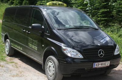 Schwarzer Mercedes-Benz Kleinbus mit Taxi-Schild auf dem Dach vor Waldhintergrund.