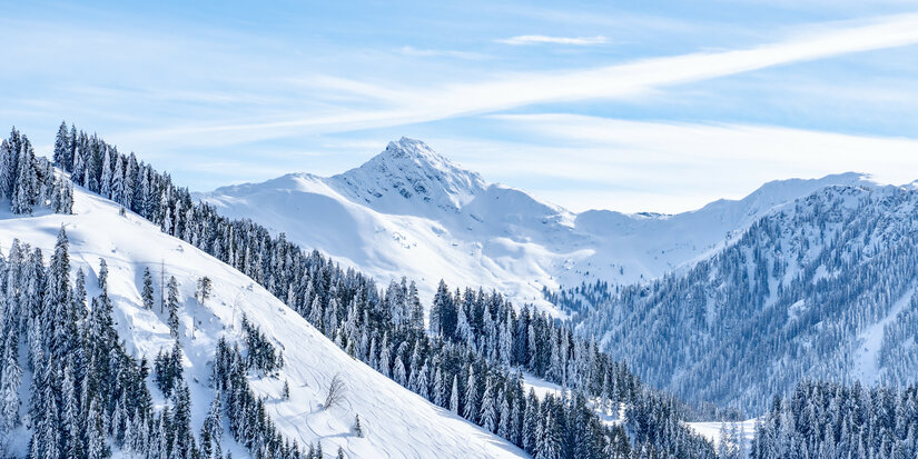 Eine schneebedeckte Berglandschaft mit hohen, grünen Tannen und majestätischen Gipfeln unter einem klaren blauen Himmel.