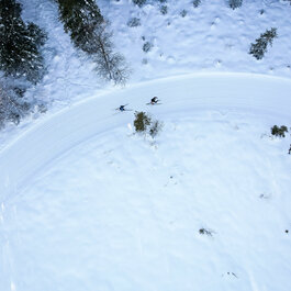 Beim Langlauf in Kitzbühel gleiten zwei Langläufer über eine kurvenreiche Loipe in verschneiter Landschaft mit Bäumen.