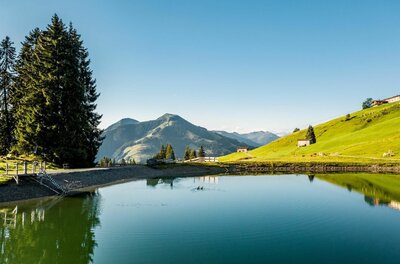 Filzalmsee