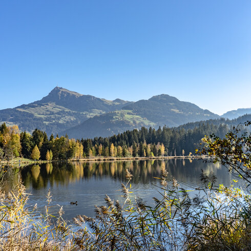 Der Schwarzsee in Kitzbühel mit Blick auf das Kitzbüheler Horn