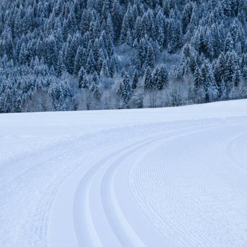 Langlauf in Kitzbühel, frisch präparierte Loipen in verschneiter Landschaft mit Bäumen.