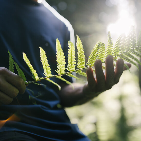 Morgens zur Seidalm Wandern Sommer 2023 (c) Kitzbühel Tourismus (32) Morgens zur Seidalm Wandern Sommer
