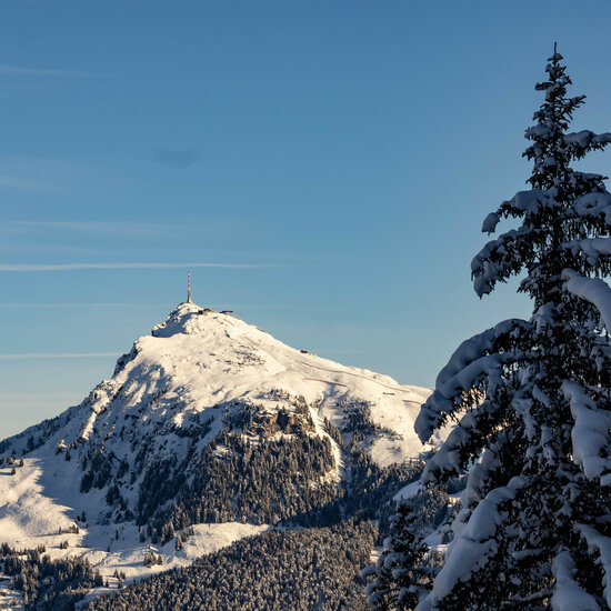 Winterwandern in Kitzbühel mit Ausblick auf das Kitzbüheler Horn