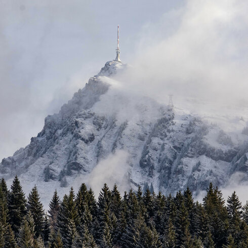 Schneebedeckter Gipfel am Kitzbüheler Horn, umgeben von Nadelbäumen.