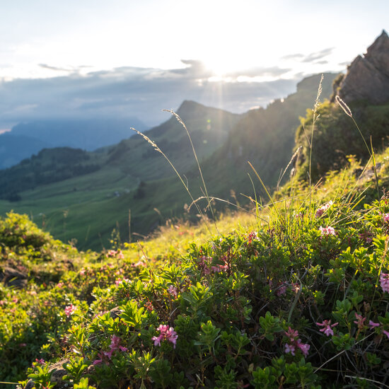 LH Südberge LocalHeroes Südberge in Kitzbühel
