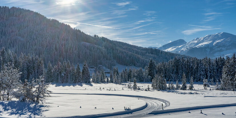 Auf der Langlaufloipe in Kitzbühel zeigt sich verschneite Landschaft mit Bergen und Wäldern unter klarem, blauem Himmel.