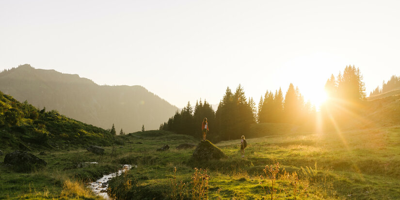 Bergwiese bei Sonnenaufgang