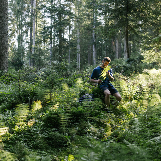 Die Natur im Wald riechen