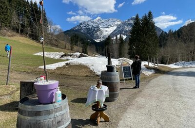 Wanderweg mit Holzfässern und einer Person vor einem schneebedeckten Berggipfel unter blauem Himmel.