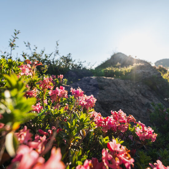 LH Südberge LocalHeroes Südberge in Kitzbühel