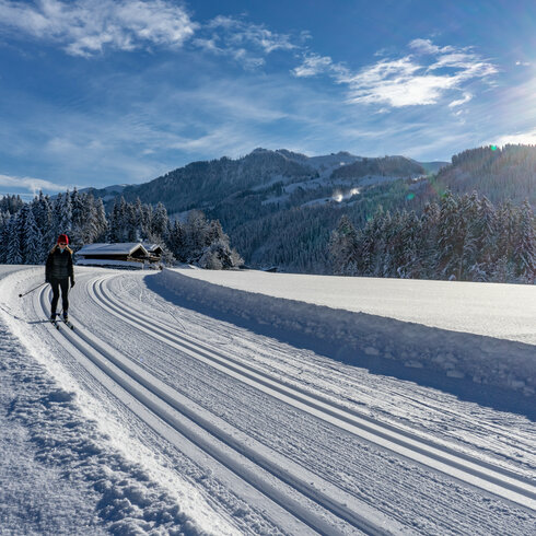 Beim Langlauf in Kitzbühel gleitet ein Langläufer über perfekt präparierte Loipe durch verschneite Landschaft mit Bäumen und Bergen.