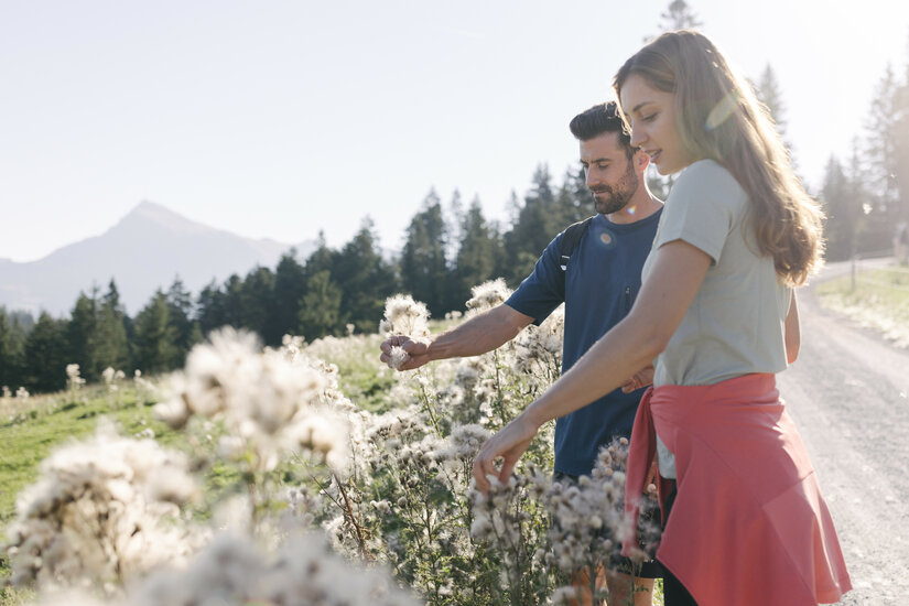 Ein Paar genießt einen sonnigen Tag beim Wandern und pflückt Blumen in einer malerischen Berglandschaft.