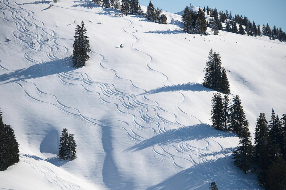 Tiefschnee - Freeriden in Kitzbühel