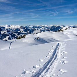 Eine schneebedeckte Landschaft mit sanften Hügeln erstreckt sich unter einem strahlend blauen Himmel.