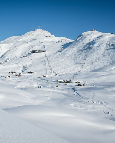Kitzbüheler Horn, weite verschneite Landschaft mit sanften Hügeln unter klarem, blauem Himmel.
