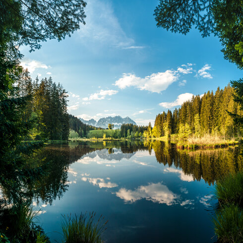 Der Gieringer Weiher bei Reith bei Kitzbühel