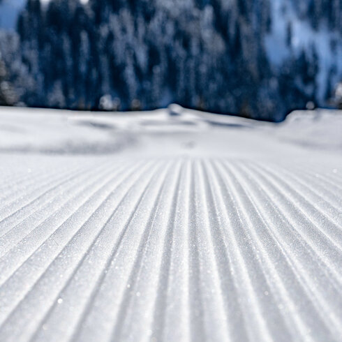 Skigebiet Kitzbühel, frisch präparierte Piste im Sonnenlicht mit sanften Schneewellen.