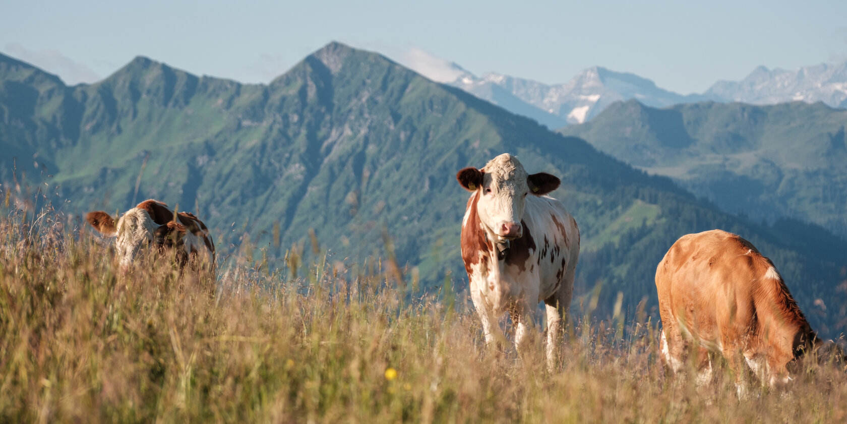 LH Südberge LocalHeroes Südberge in Kitzbühel