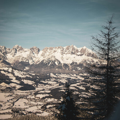 Skischulen in Kitzbühel
