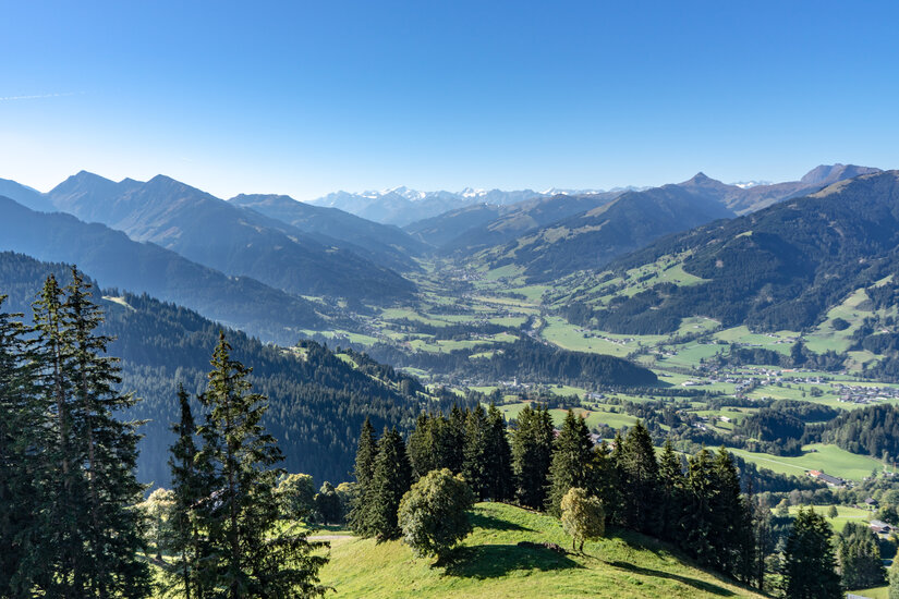 Der Ausblick von der Bichlalm über die Kitzbüheler Alpen