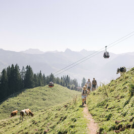 Kitzbühel Hahnenkamm Sommer