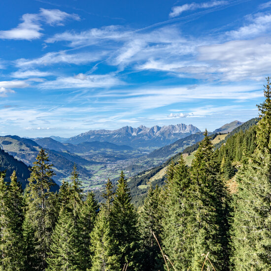 Wandern Aussicht Suedberge Herbst Grasberge (c) Kitzbuehel Tourismus (20) Wandern in den Suedbergen im Herbst
