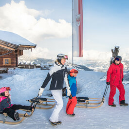 Eine Familie genießt einen sonnigen Tag im Schnee, während sie Schlitten zieht und die winterliche Landschaft bewundert.