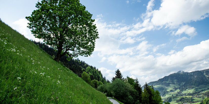 Ein weißer Flurbereich mit einer offenen Garderobe, Kissen und einem kleinen schwarzen Schild