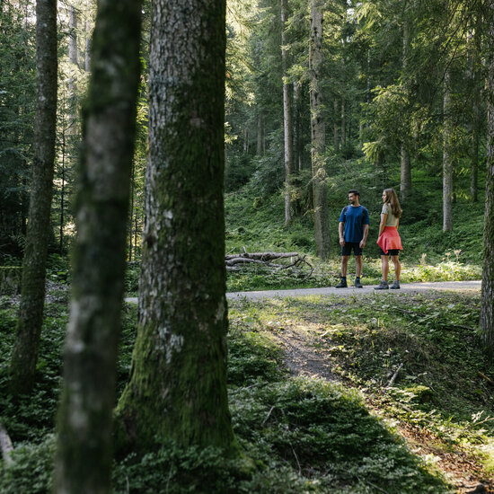 Morgens zur Seidalm Wandern Sommer 2023 (c) Kitzbühel Tourismus (25) Morgens zur Seidalm Wandern Sommer