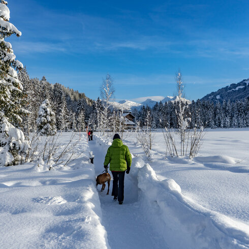 Ein Wanderer mit Hund geht durch eine verschneite Landschaft in Kitzbühel unter blauem Himmel.