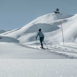 Eine Person wandert mit Schneeschuhen durch eine unberührte, schneebedeckte Landschaft unter klarem Himmel.