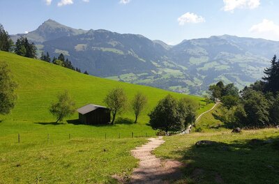 Wanderweg bei der Seidlalm Ein schmaler Wanderweg führt über eine grüne Almwiese hinunter zu einer Holzhütte vor einem Bergpanorama.