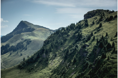 Kulinarische Höhenwanderung Grüne, bewaldete Berghänge unter blauem Himmel in den Kitzbüheler Alpen.