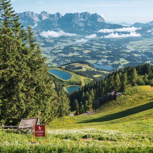 Streif Live mit Blick zum Wilden Kaiser