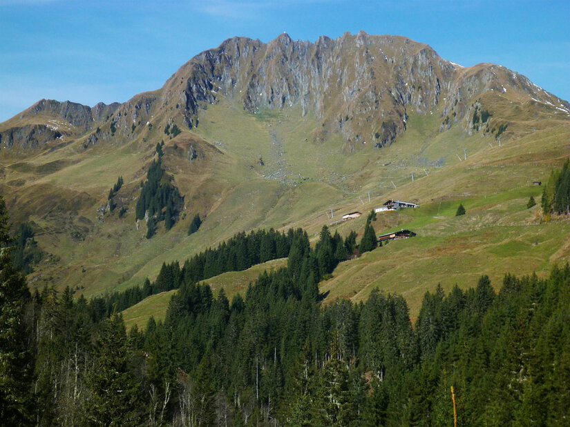Blick auf einen grasbewachsenen Berggipfel mit Felswänden, Nadelwald im Vordergrund und Almhütten am Hang.